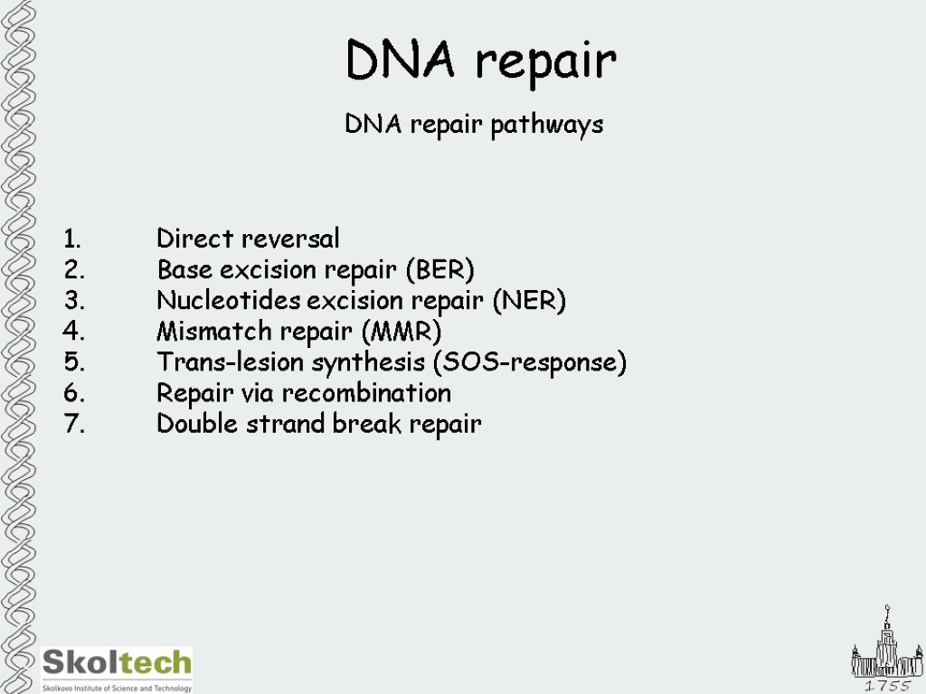 DNA repair DNA repair pathways Direct reversal 2. Base excision repair (BER) 3. Nucleotides